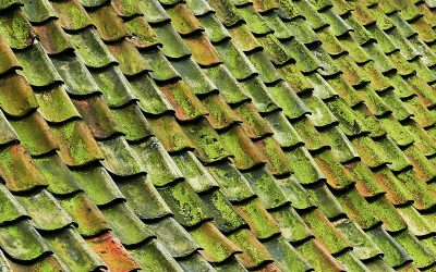 Tile Roofing Tips for Homeowners