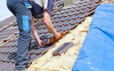 How to Spot and Repair Damage to Your Commercial Roof