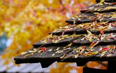How to Prepare Your Roof for Fall Weather