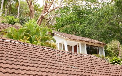Top Maintenance Tips for Your Home’s Tile Roof