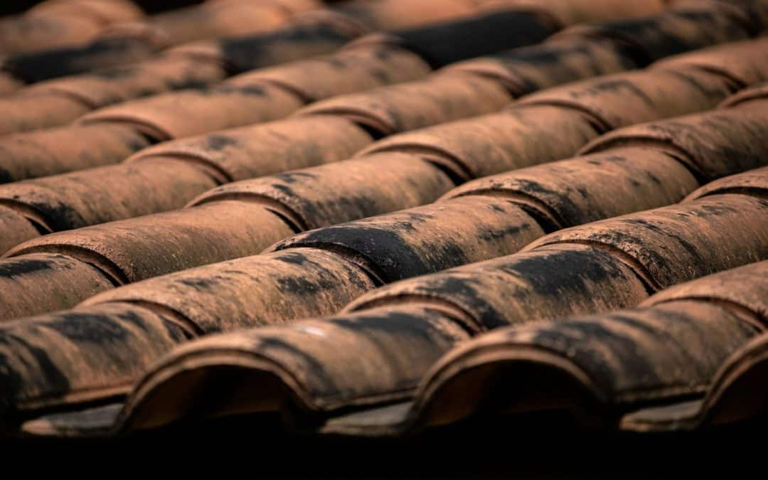 When to Consider Replacing Your Shingle Roof