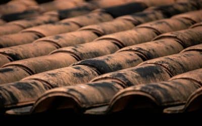 When to Consider Replacing Your Shingle Roof