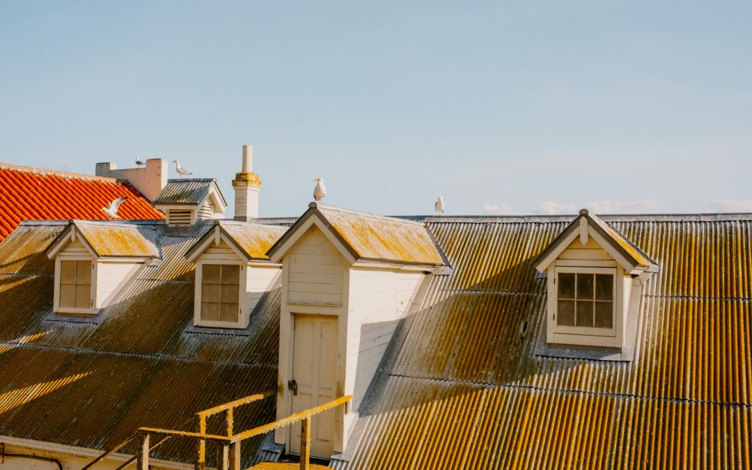 Common Myths About Metal Roofs and the Truth Explained